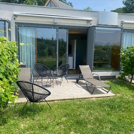 ספיפלד *Brandnew* Modernes Apartment In Den Weinbergen Mit Pool Und Sauna מראה חיצוני תמונה